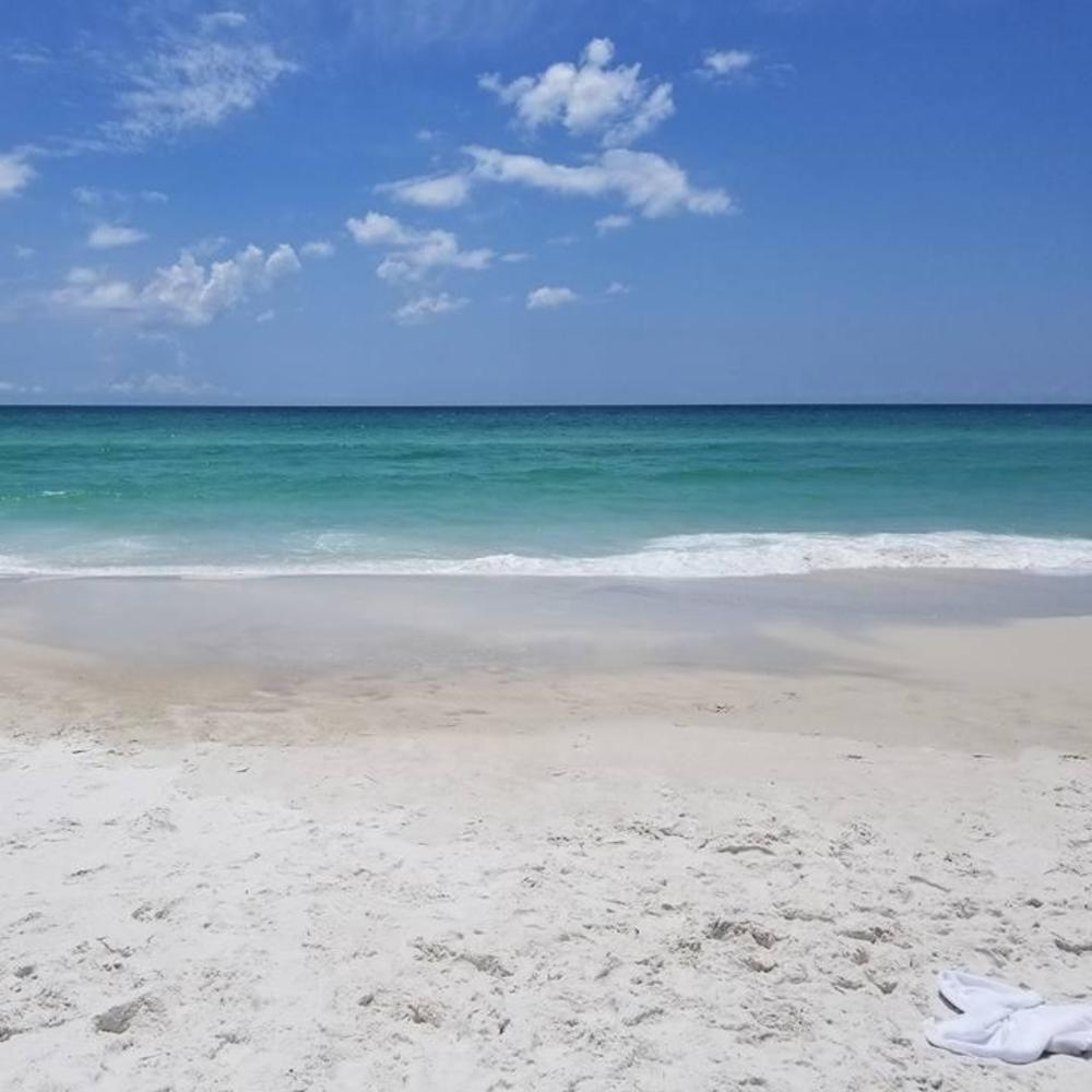 Meet your Posher, Kelley